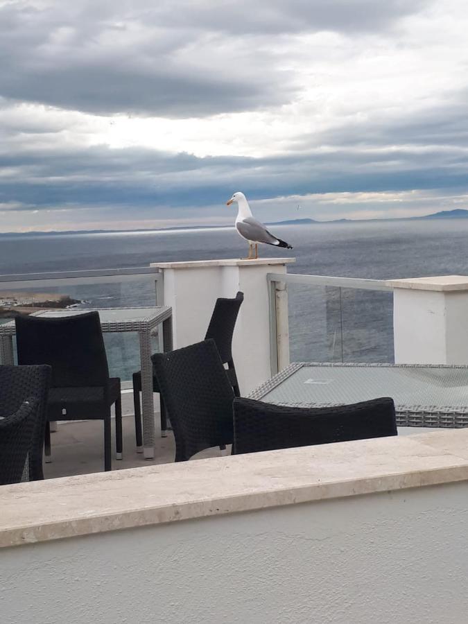 Vittoria Paradise It Castelsardo Sardegna Luaran gambar